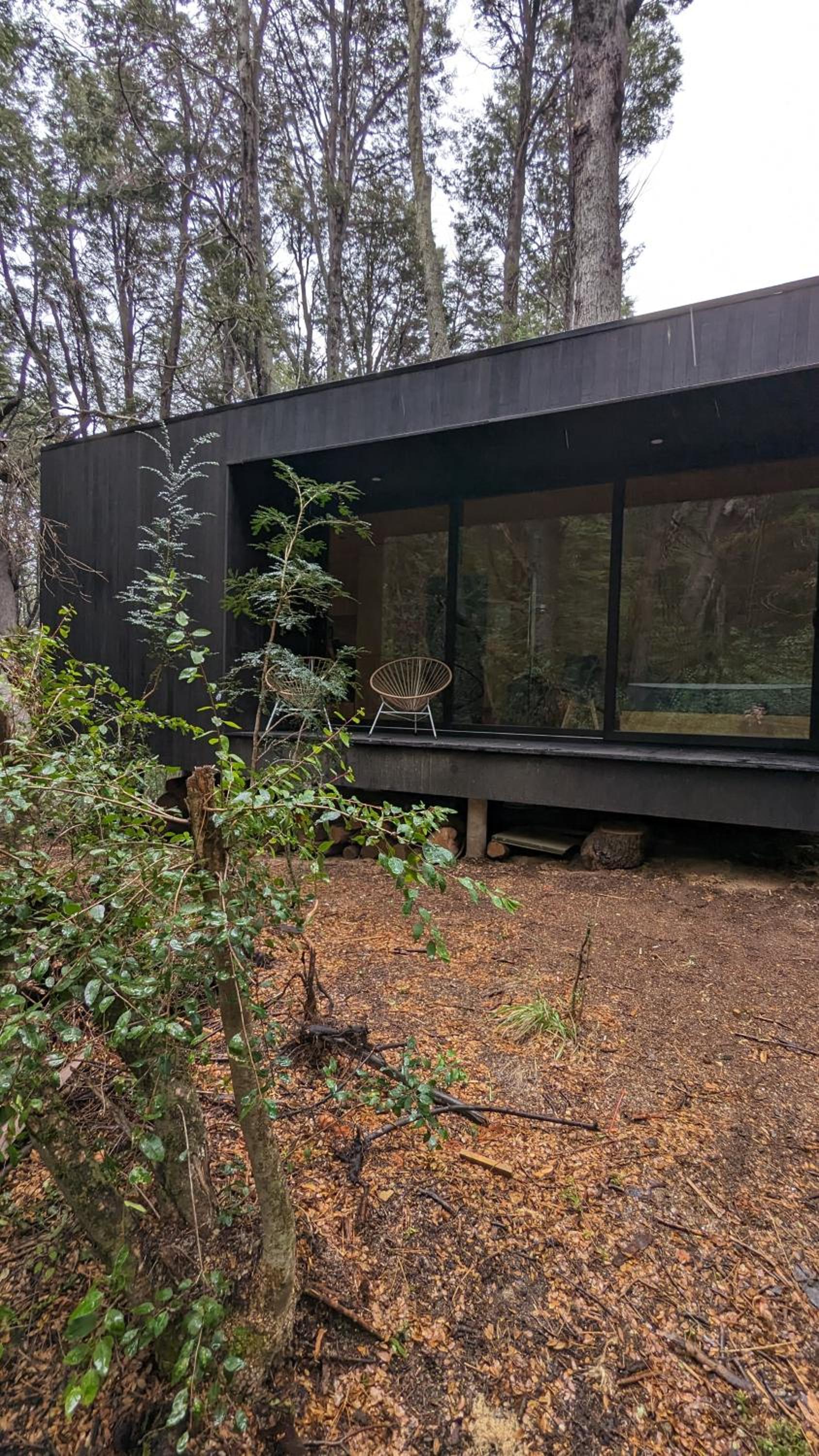 El Bosque