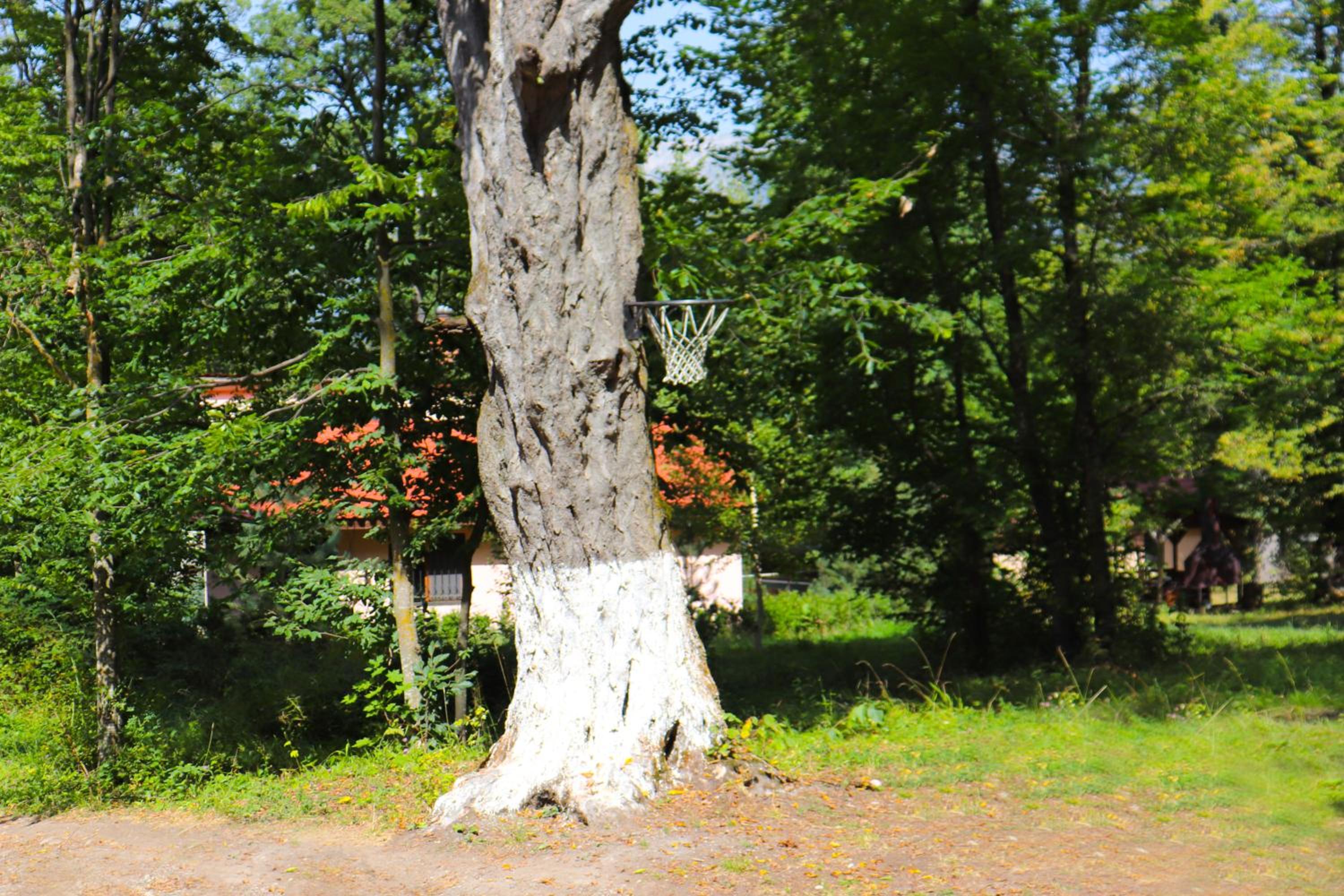 Dilijan Dream House 1
