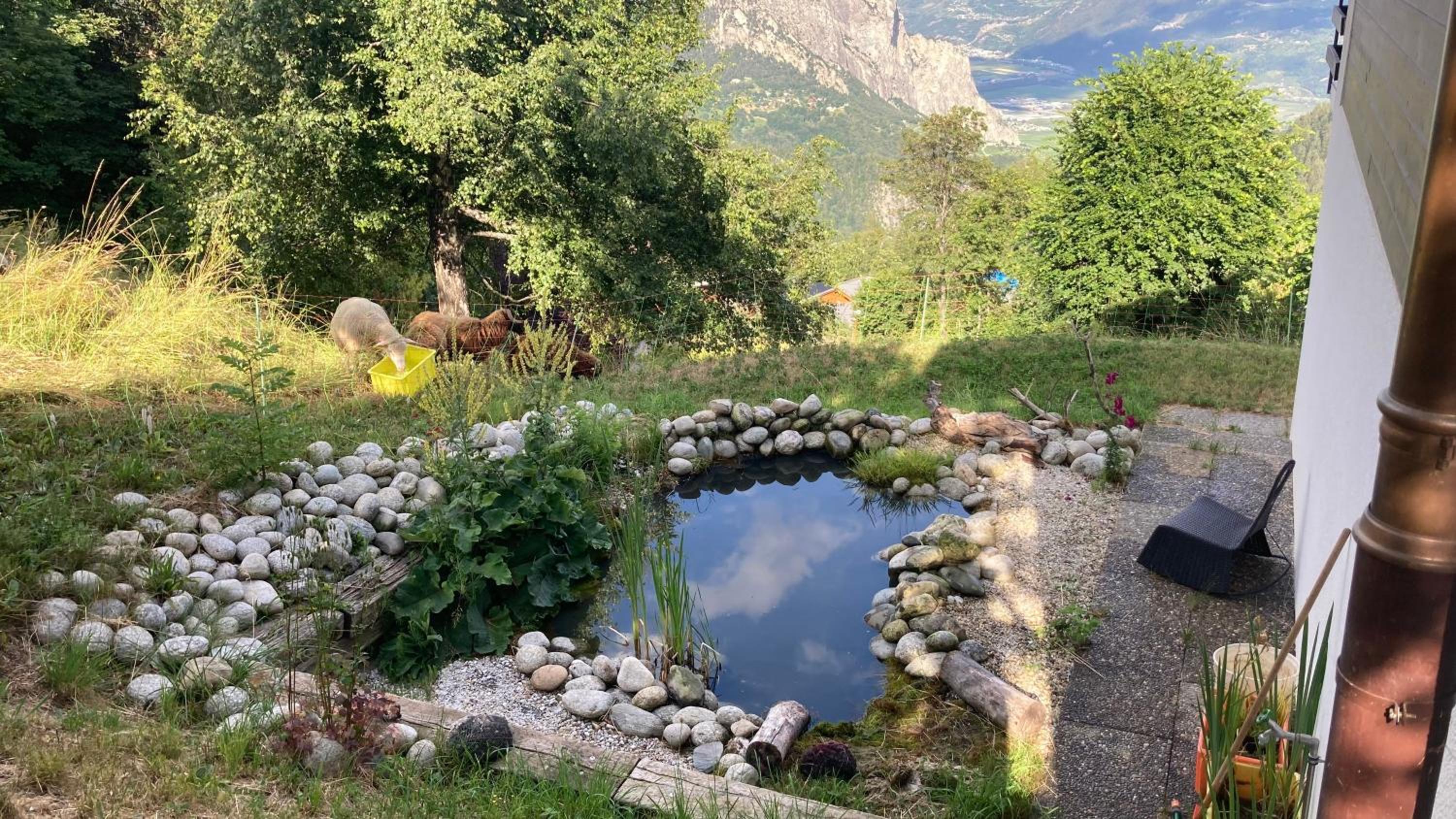 Le Lézard et la Grenouille BnB