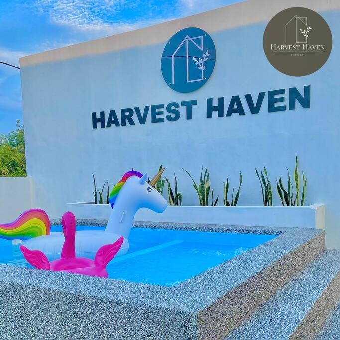 Harvest Haven Homestay photo 1