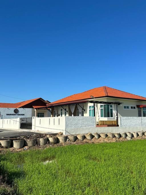 Harvest Haven Homestay photo 8