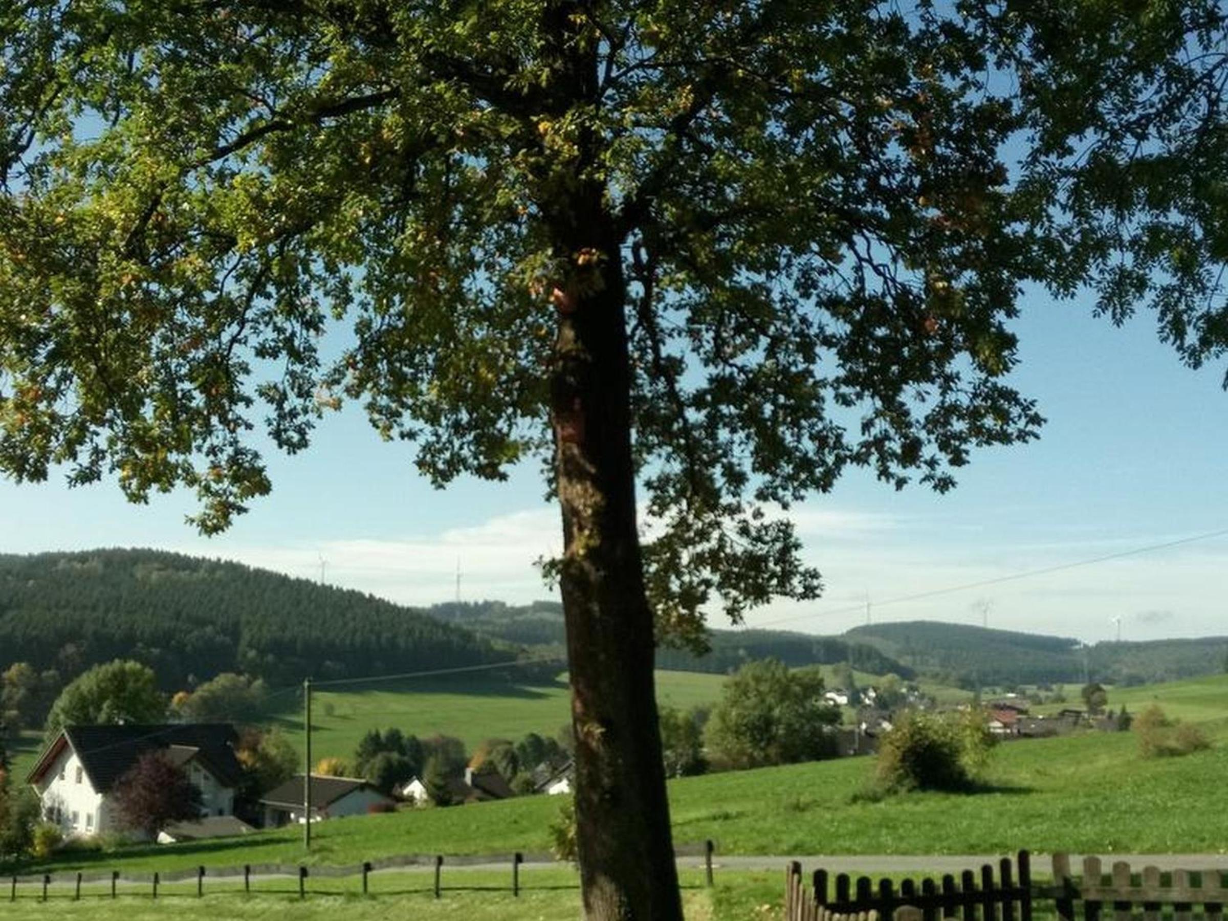 Dömer