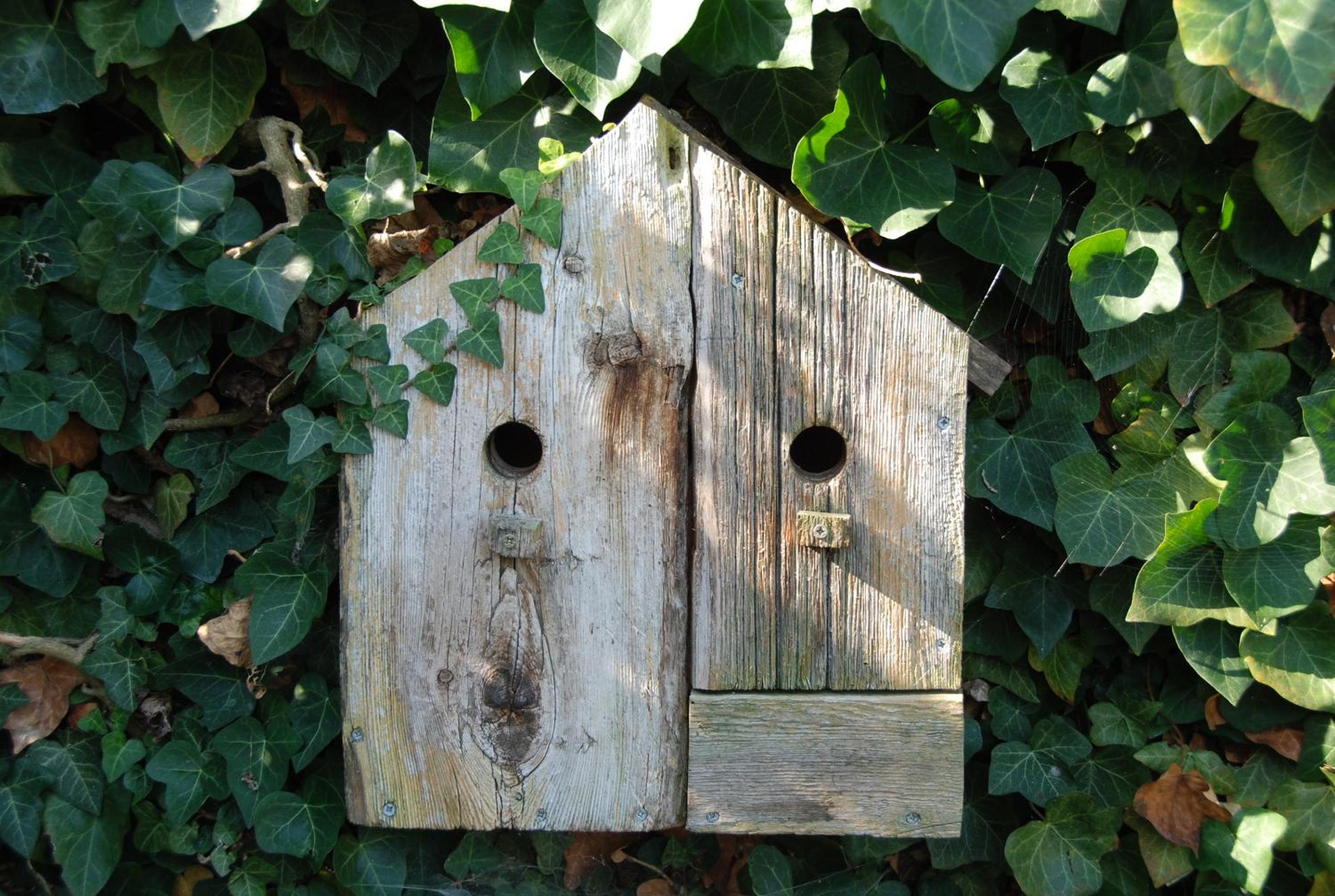 The Little House