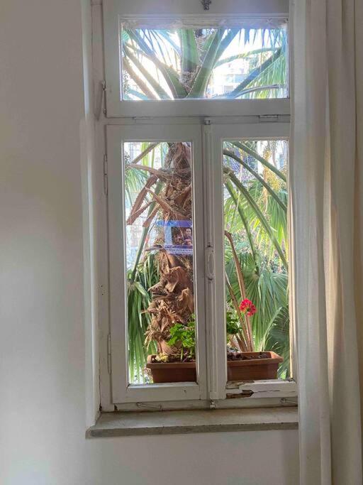 Home in Jerusalem view 4