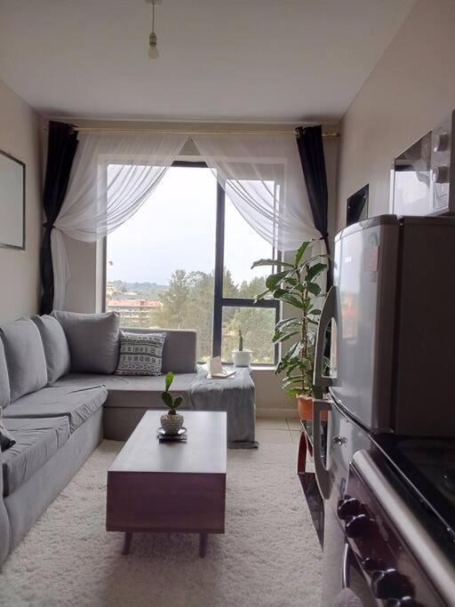 Stylish modern 1 bedroom apartment view 3