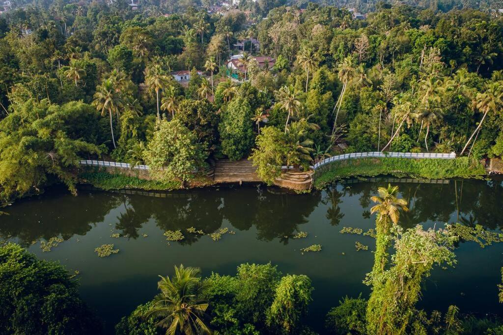 Meenachil Creek Homestay view 2
