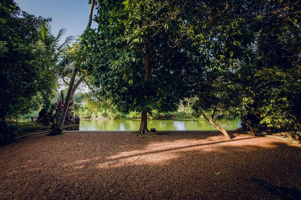 Meenachil Creek Homestay view 3