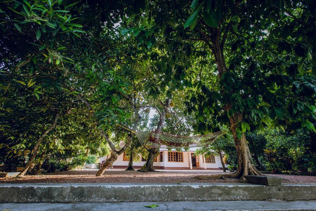 Meenachil Creek Homestay view 4