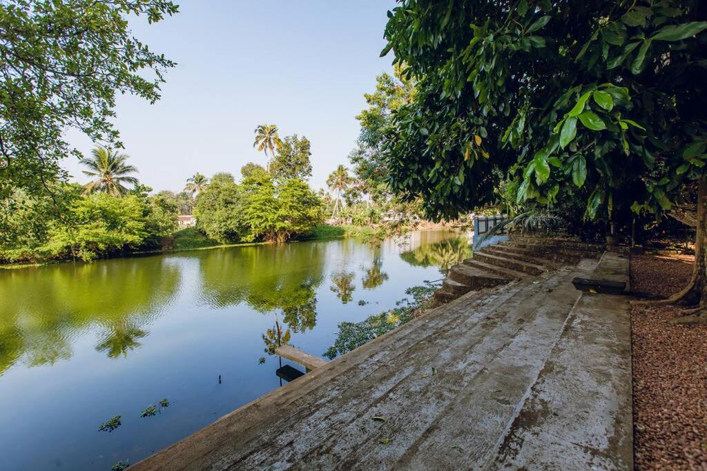 Meenachil Creek Homestay view 5
