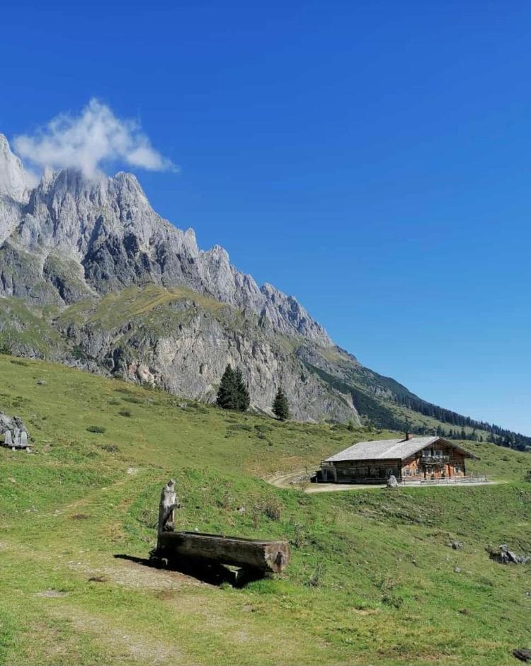 Bio Schartenalm