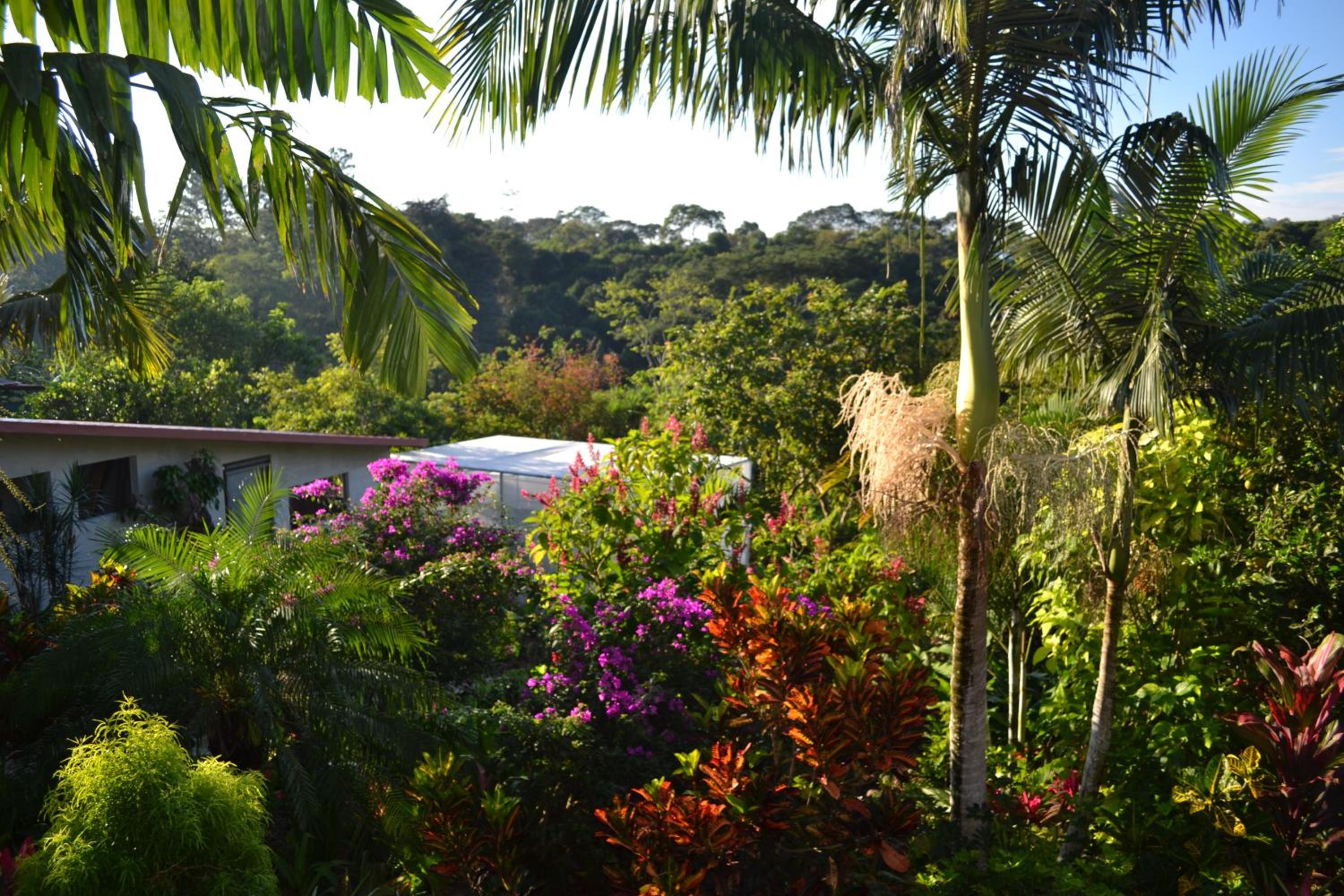 Eden Atenas Costa Rica