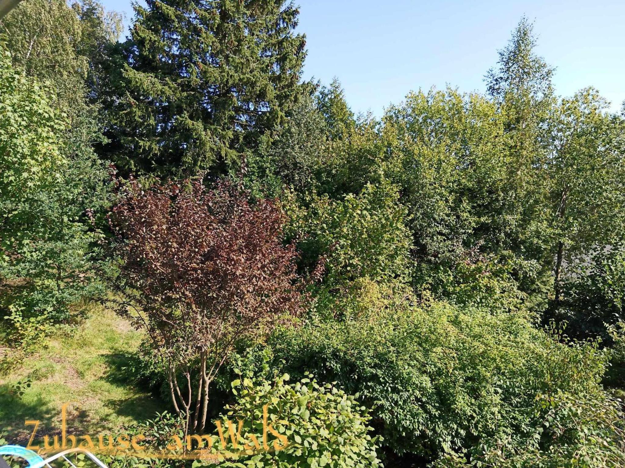 Zuhause Am Wald