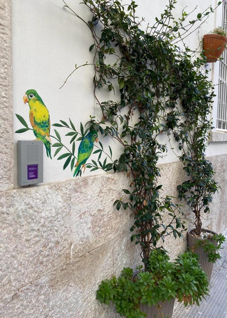 Iris Apartment, comfort e stile nel cuore di Bisceglie