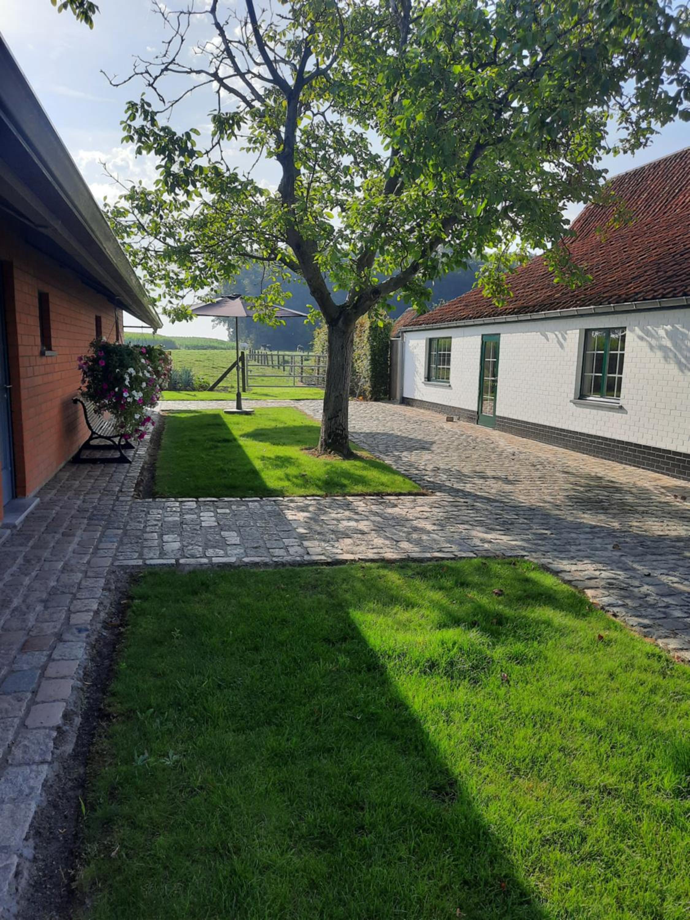 B&B Den Bruynen Bergh