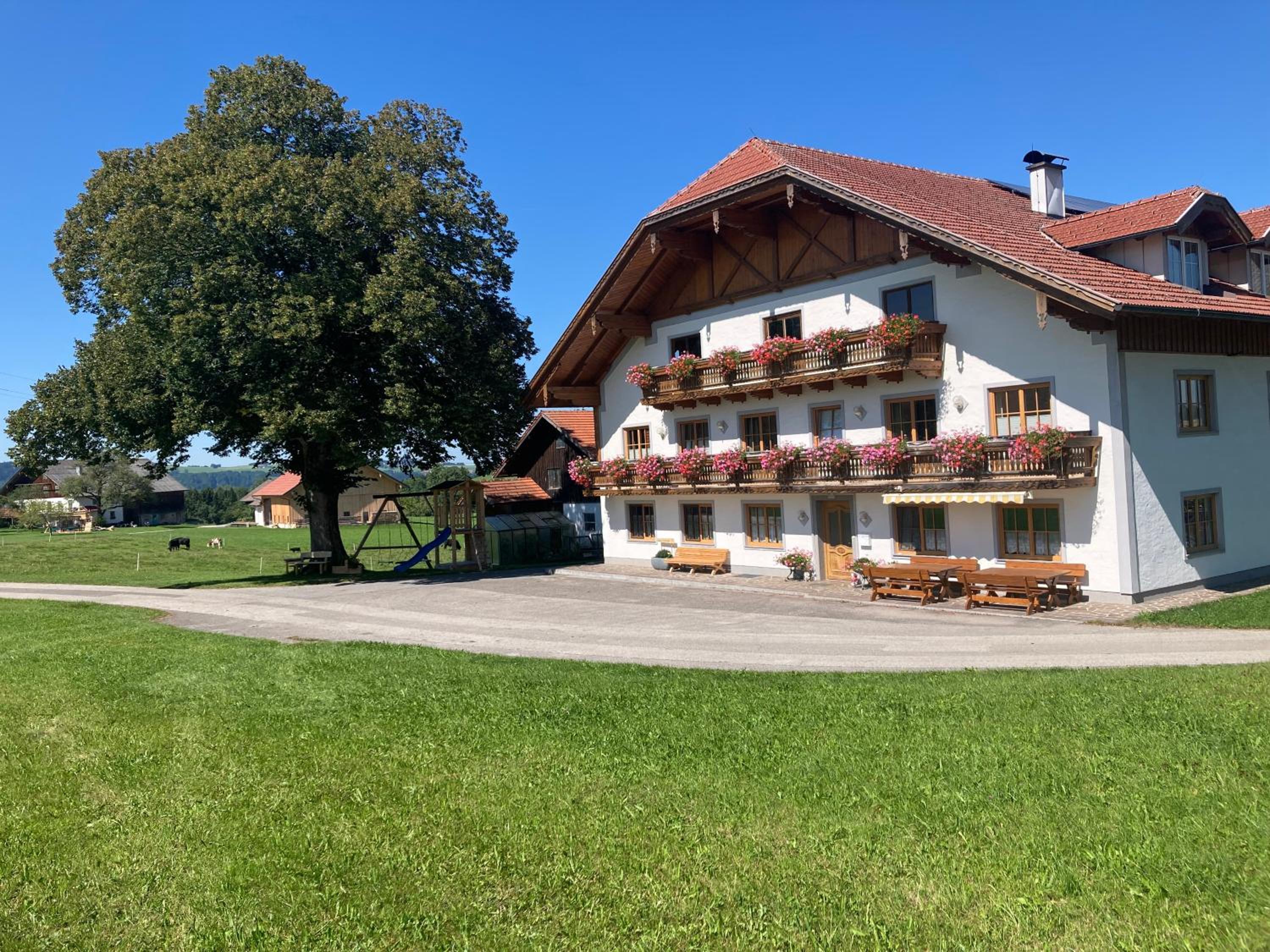 Biohof-Feichtinger view 3