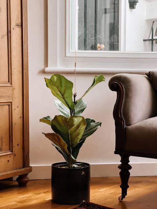 Stunning Victorian Mansion Apartment - Hosted by StaySejour