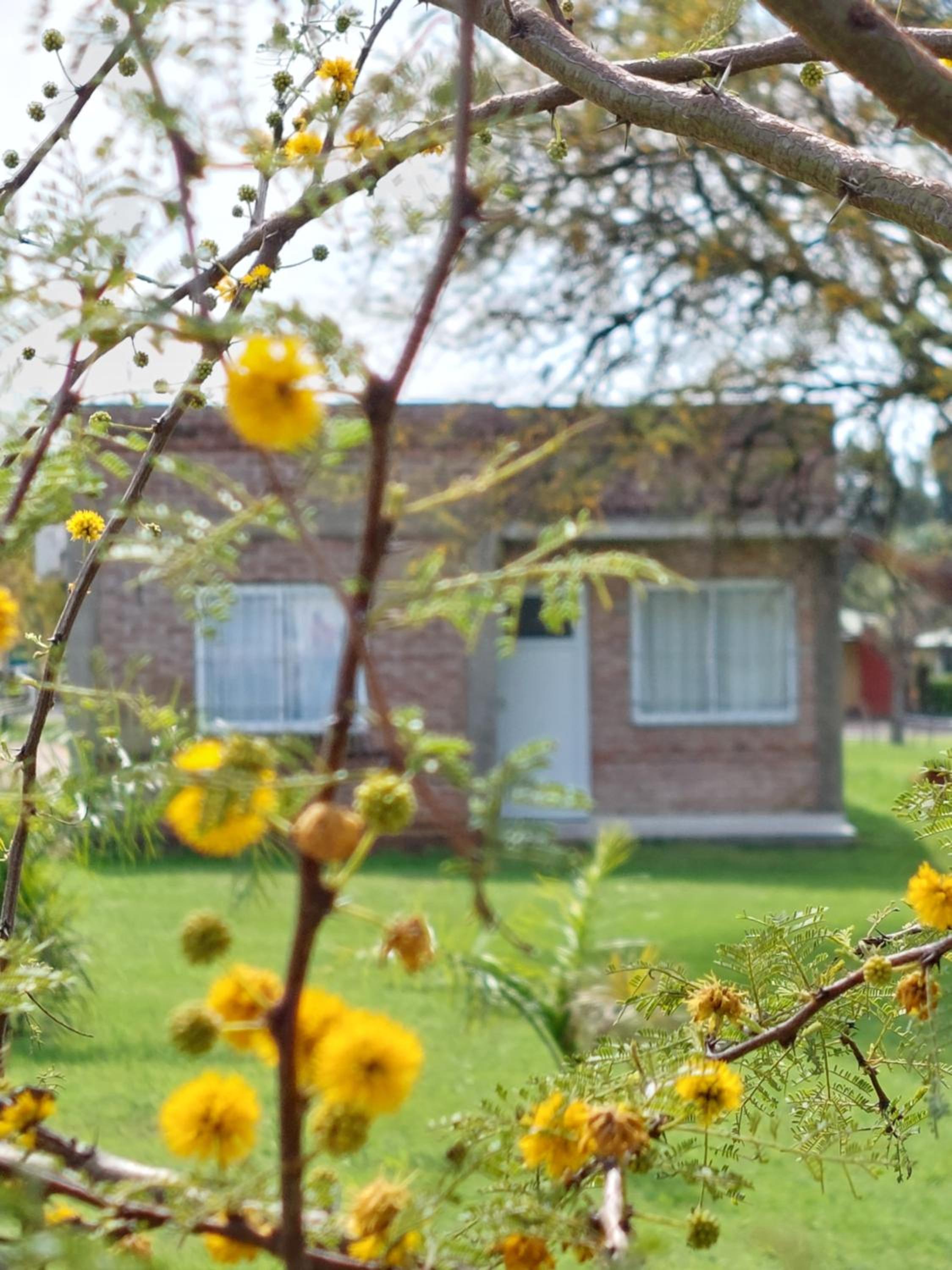 La casita del campo