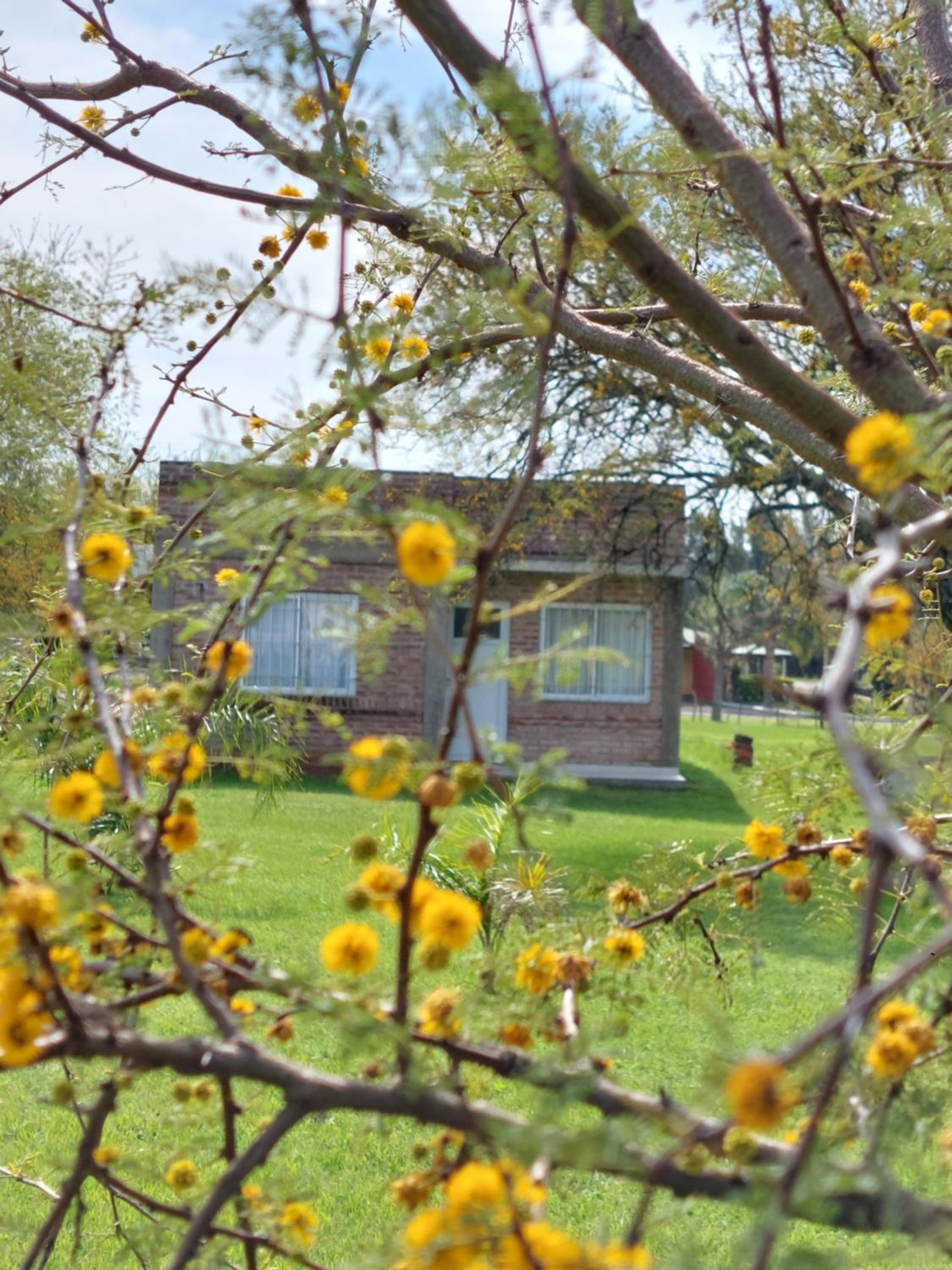 La casita del campo