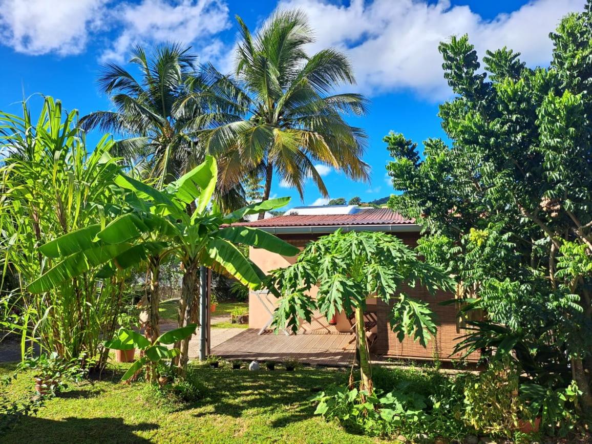 Studio Perle de Zanzibar Trois-Ilets