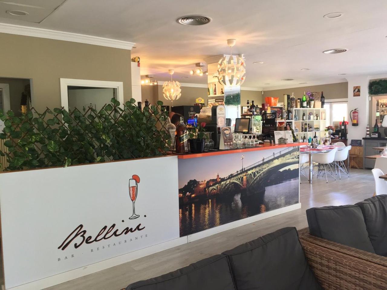 Apartman La Concha in Puerto Banus