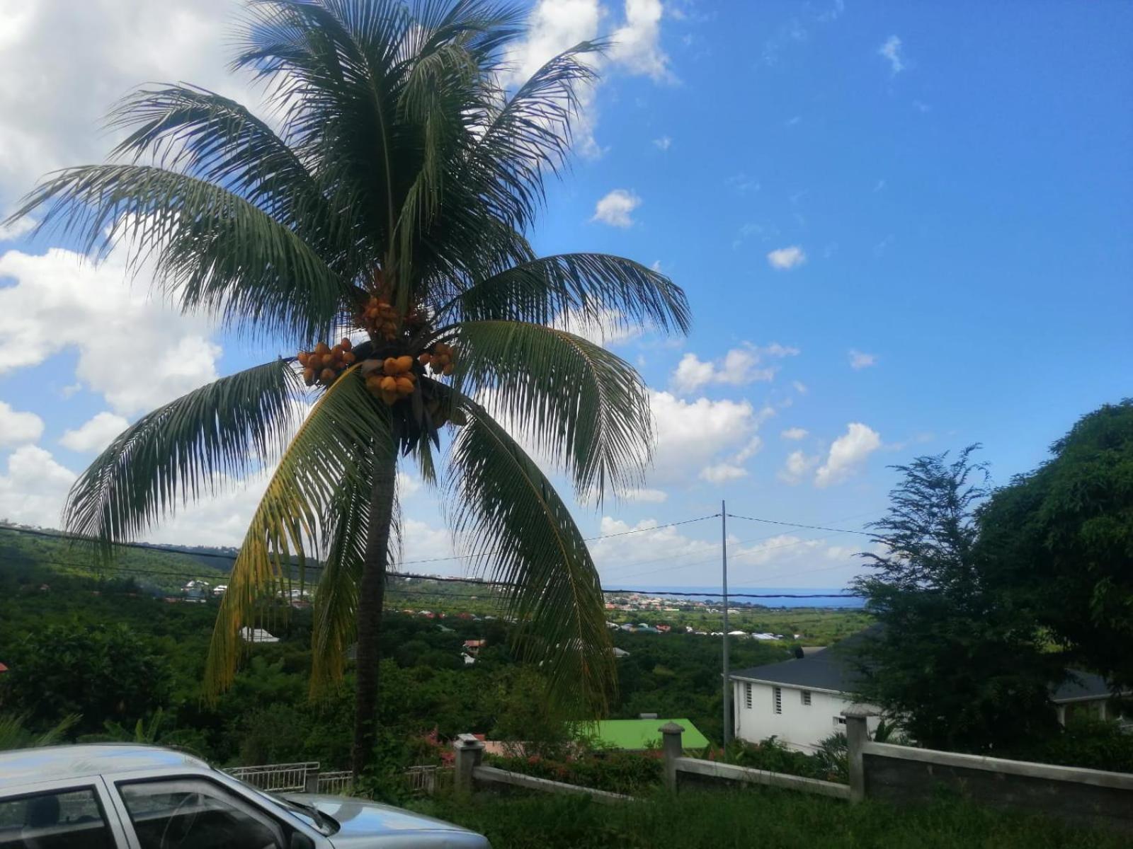 Appartement VIEUX HAB view 5