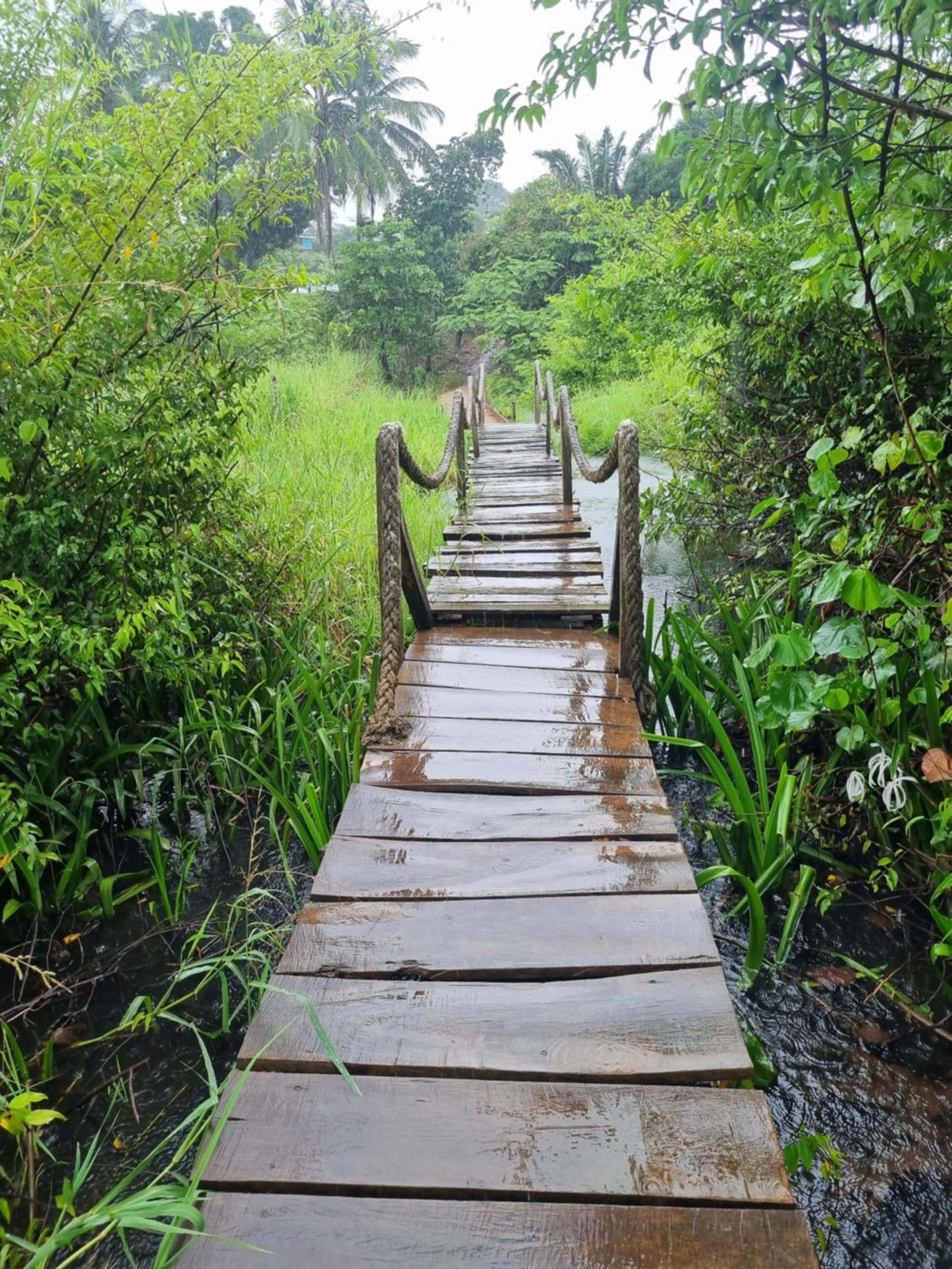 Cabina Corcovado Gittana Tours