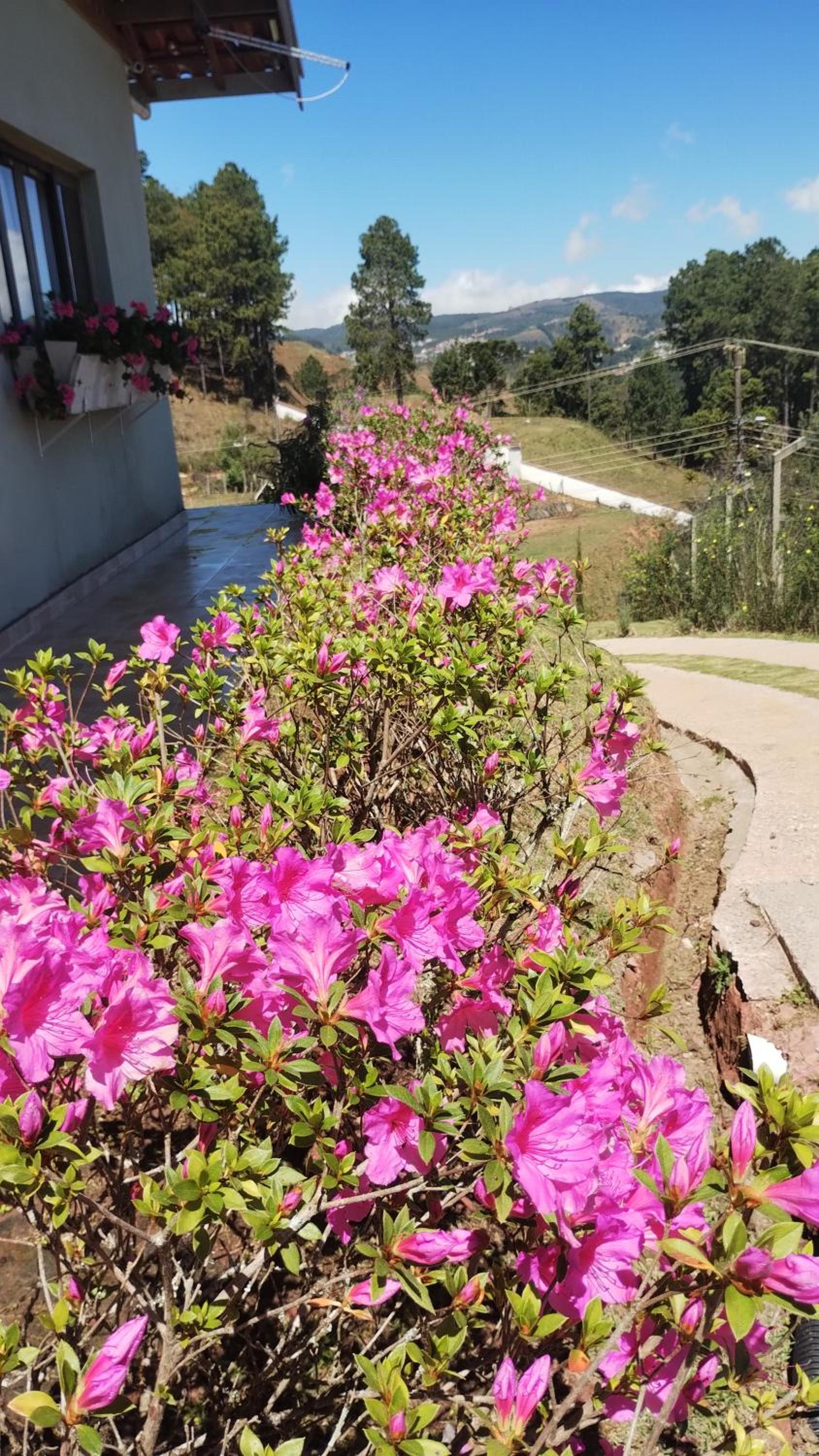 Casa flores do campo