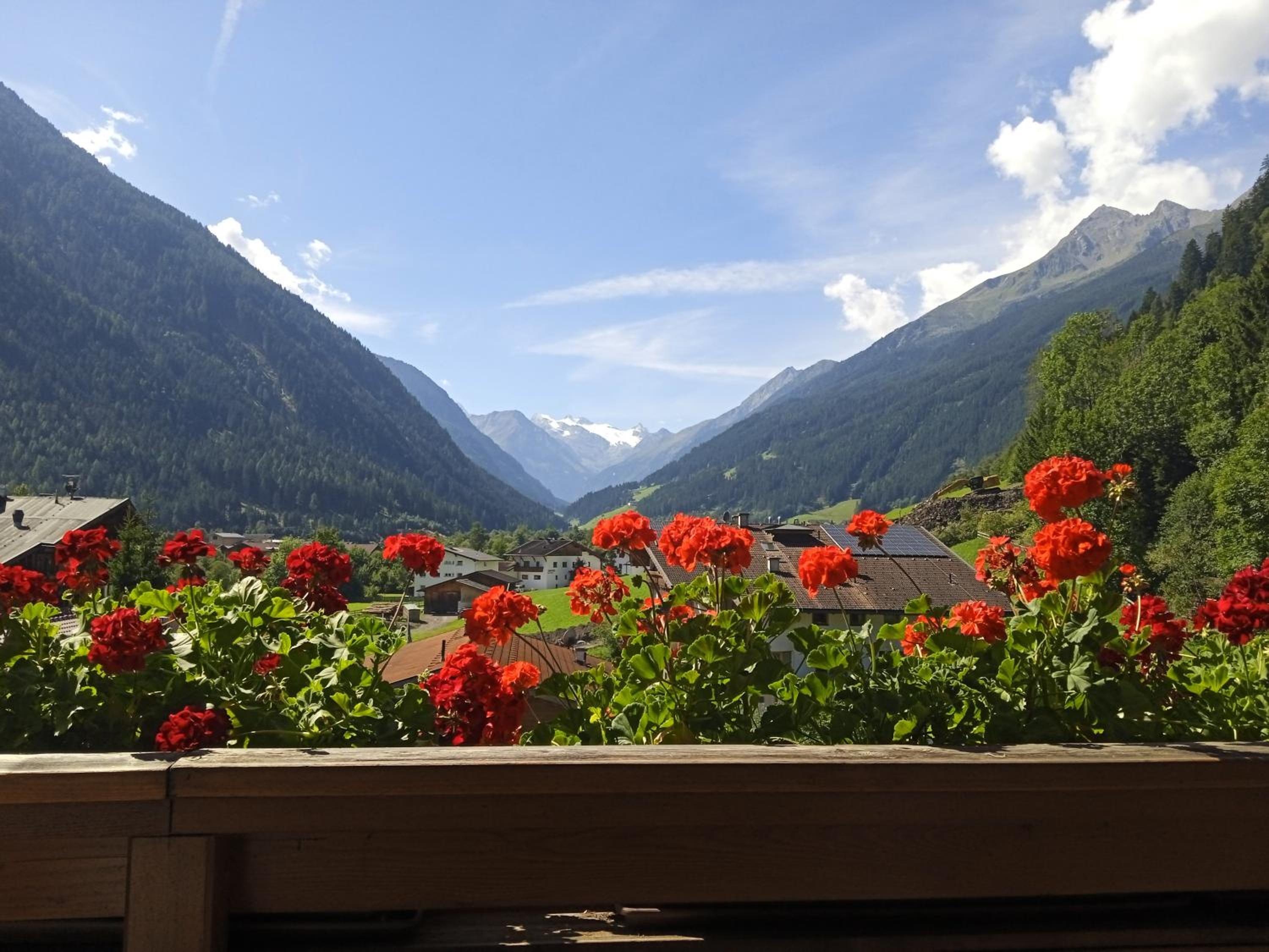 Apartment Fernerblick view 4