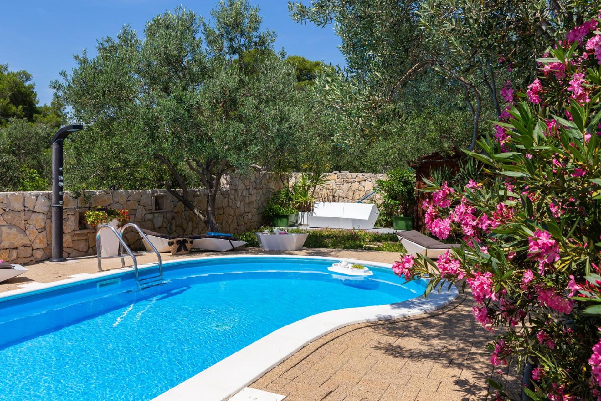 Luxury Villa Bella Vista with Swimming Pool view 5