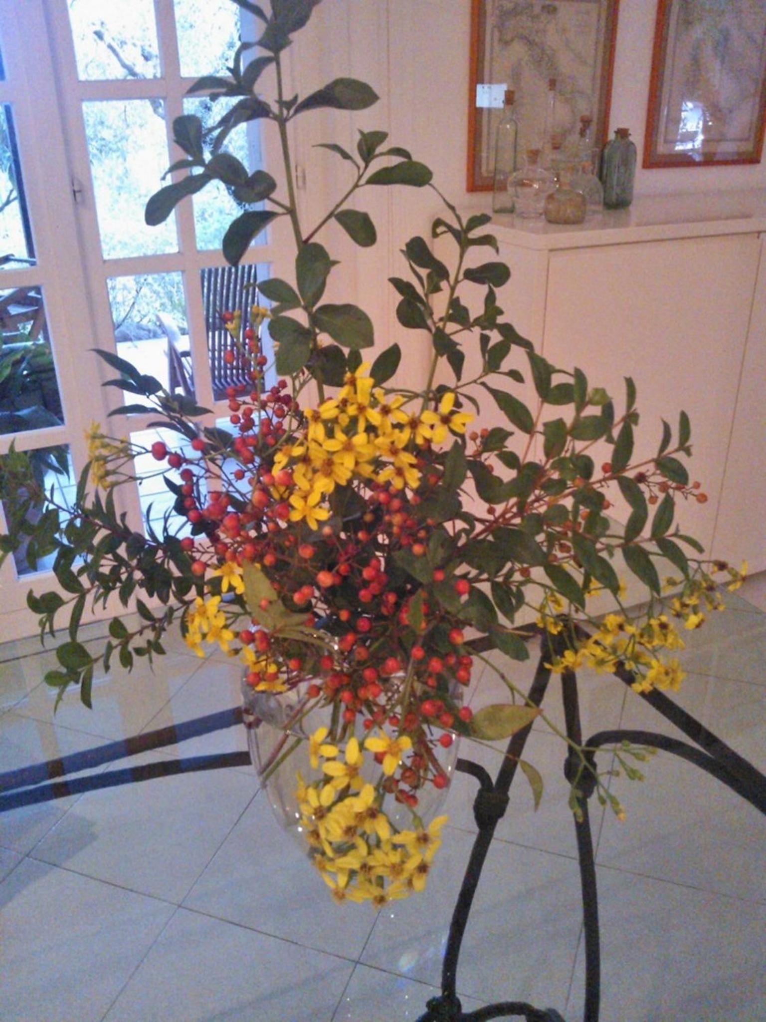 Photo 82
