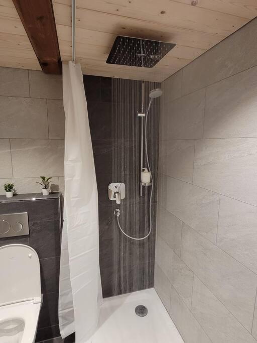 Staubbach View - Traditional Chalet Apartment