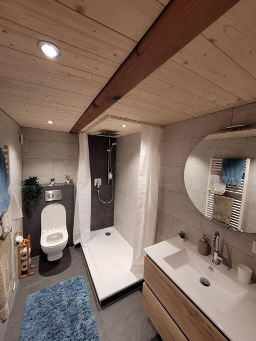 Staubbach View - Traditional Chalet Apartment
