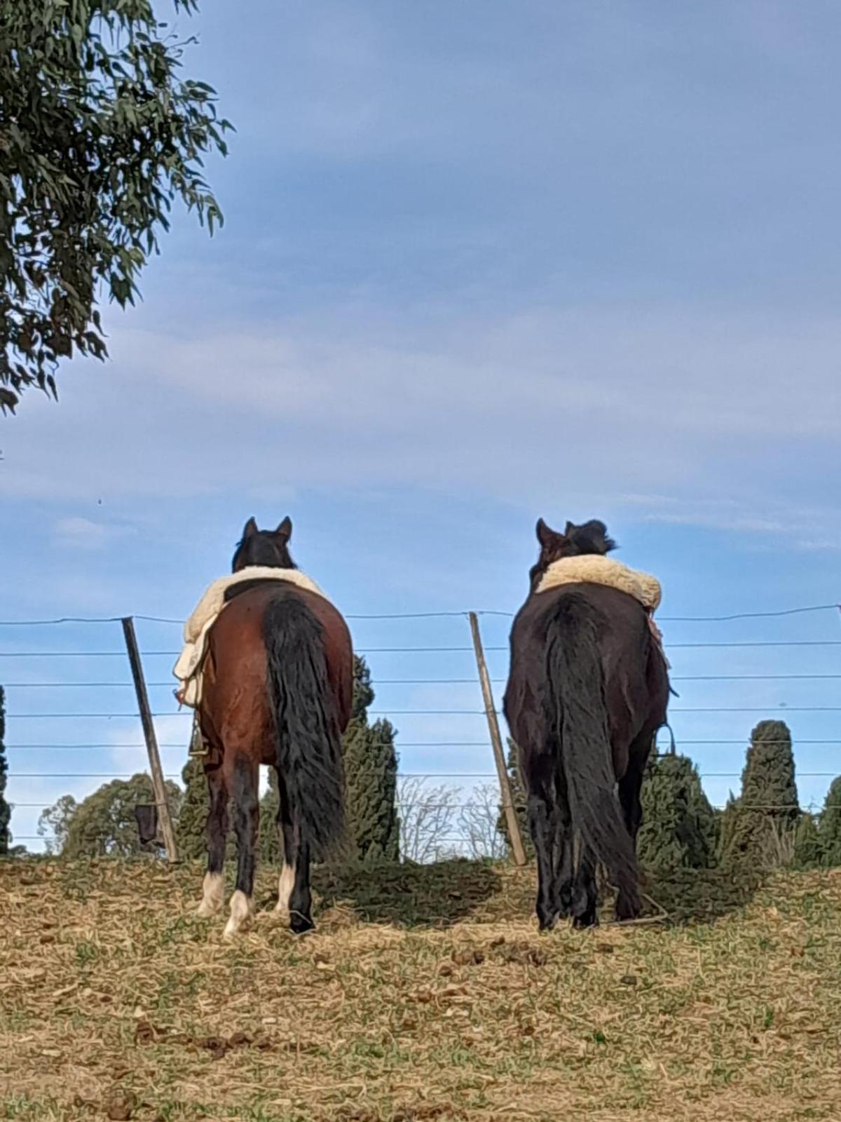 Chacras de Azcona Hostería
