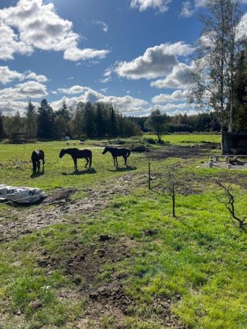 Elämyksellinen majoitus farmilla