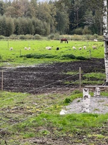 Elämyksellinen majoitus farmilla