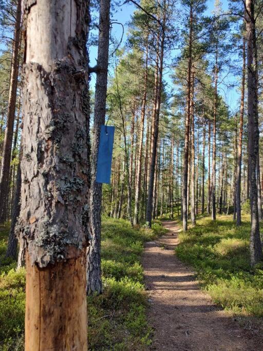 Hus i Telemarkskanalens hjerte
