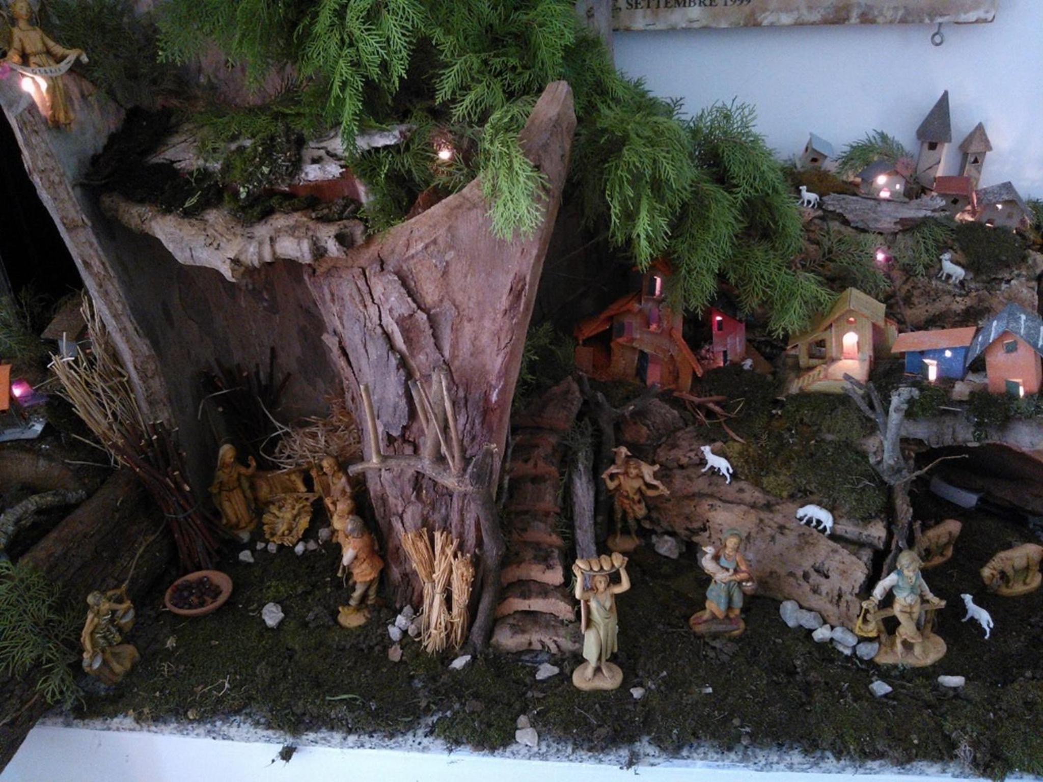 Photo 81
