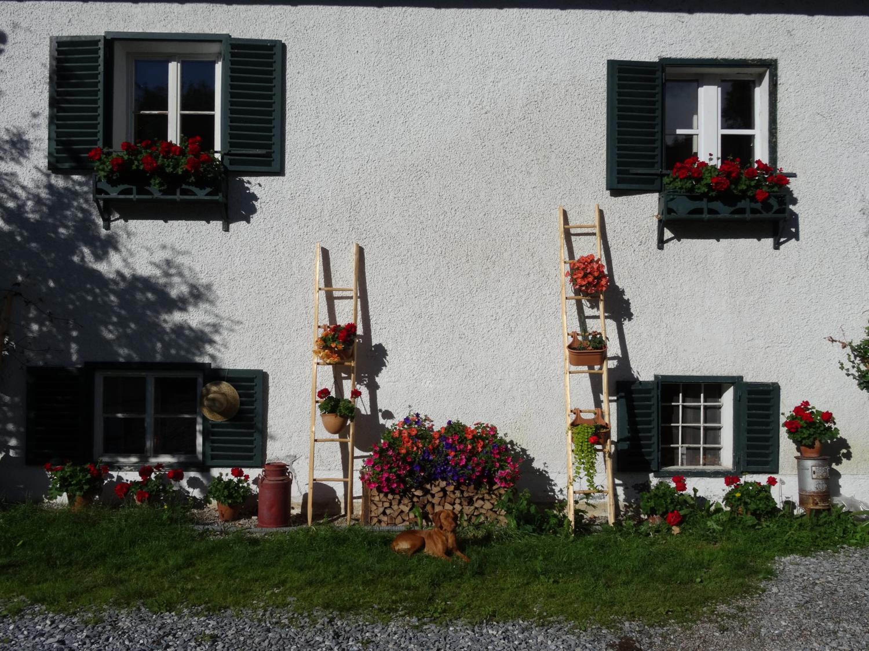 Melchambauer