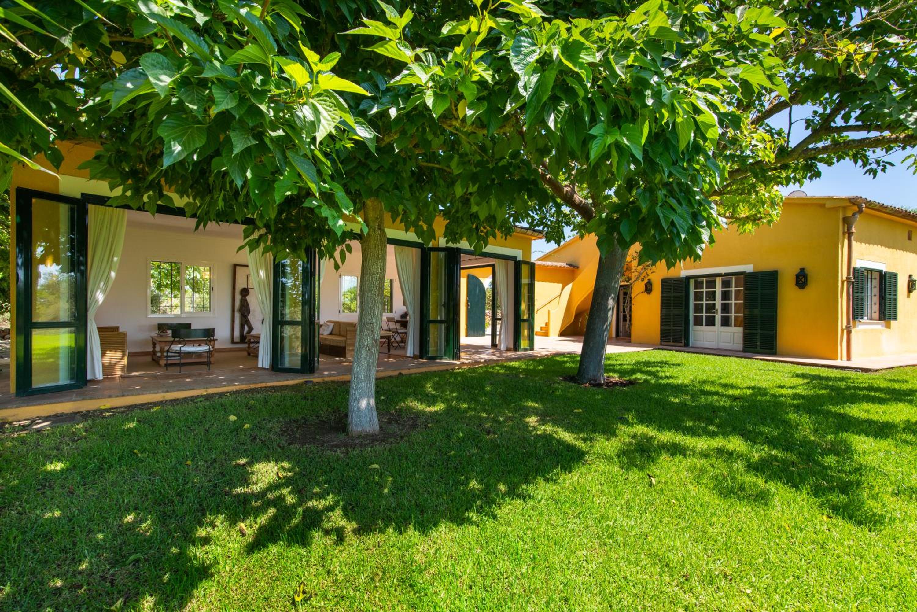 Finca Son Blat