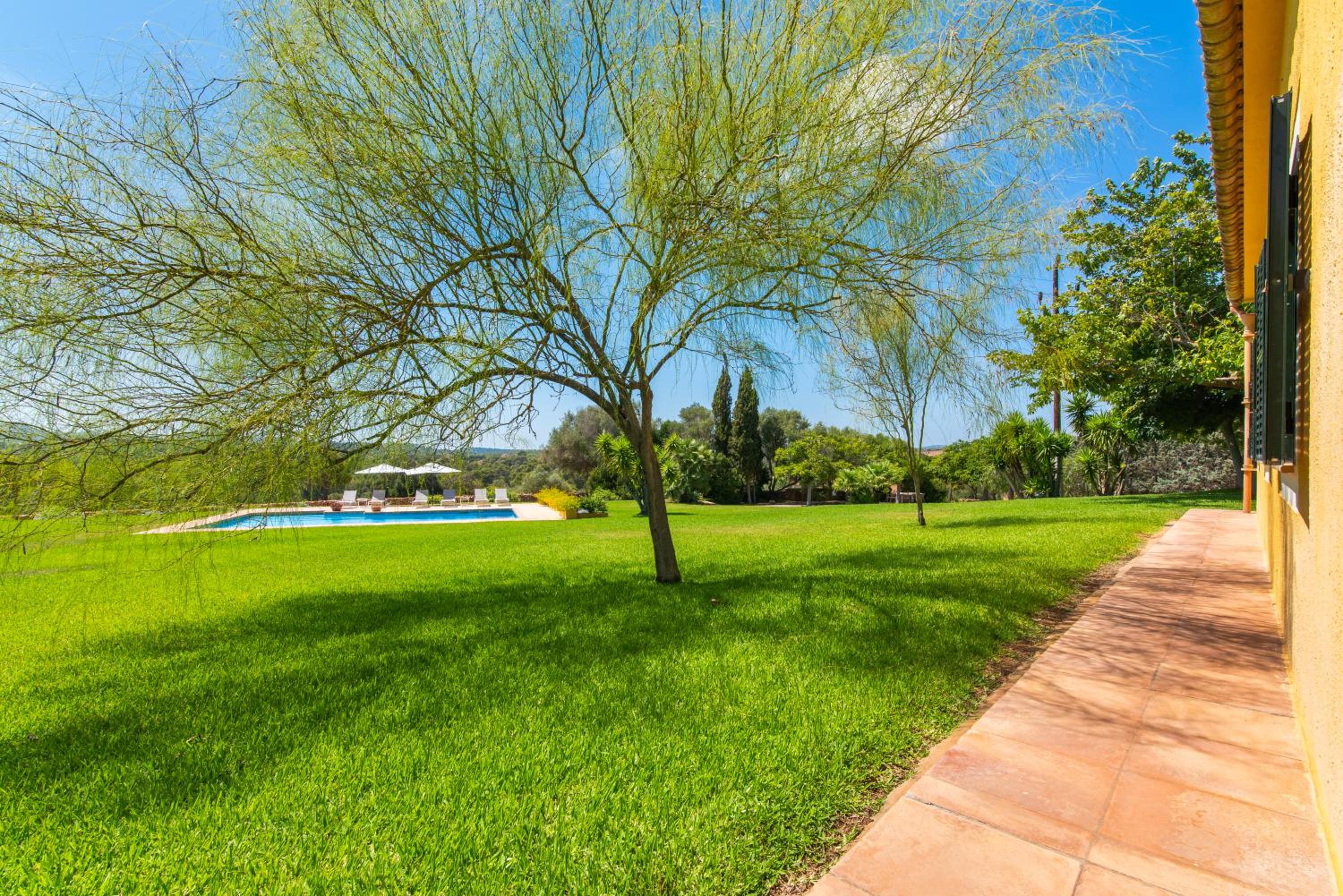 Finca Son Blat