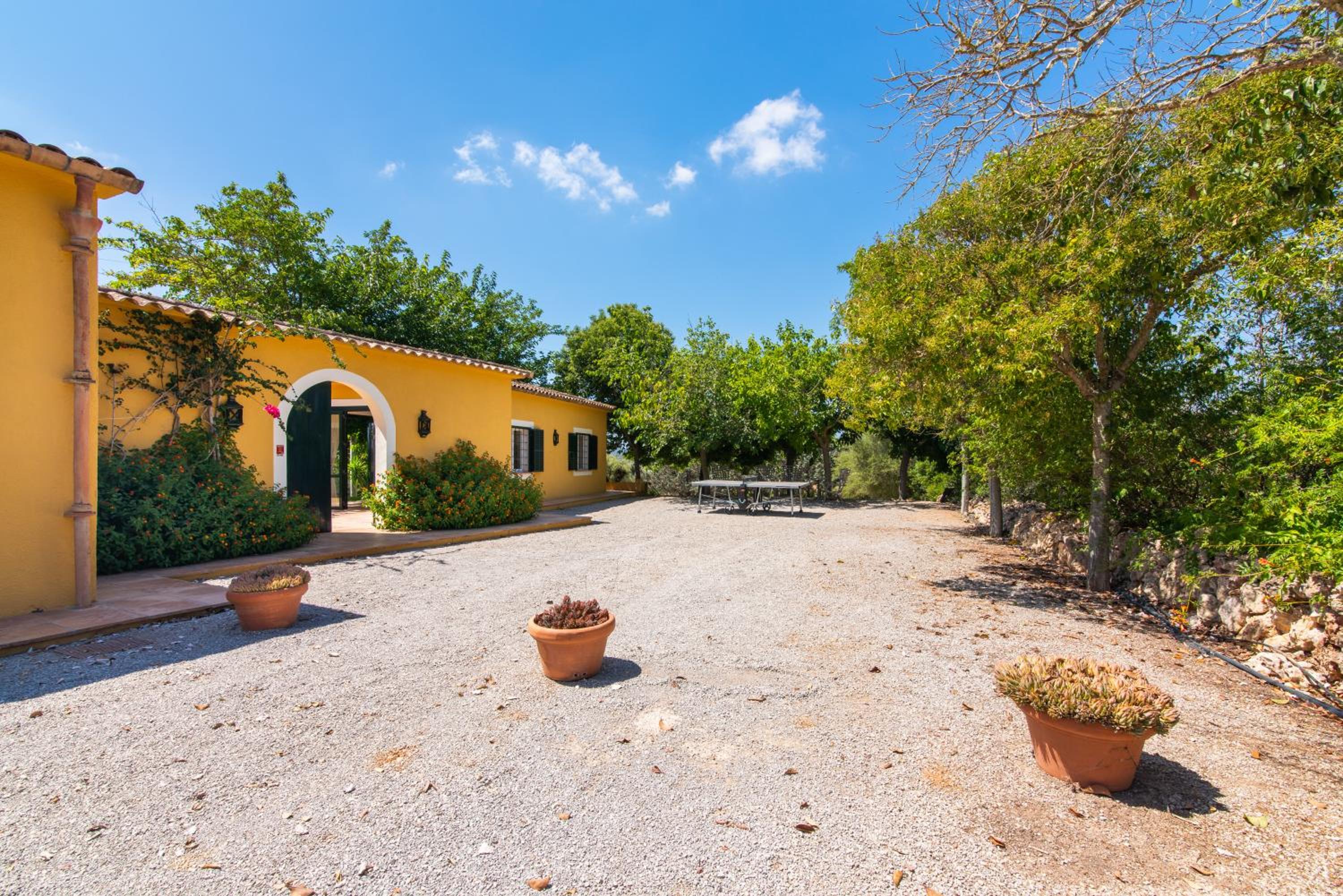Finca Son Blat