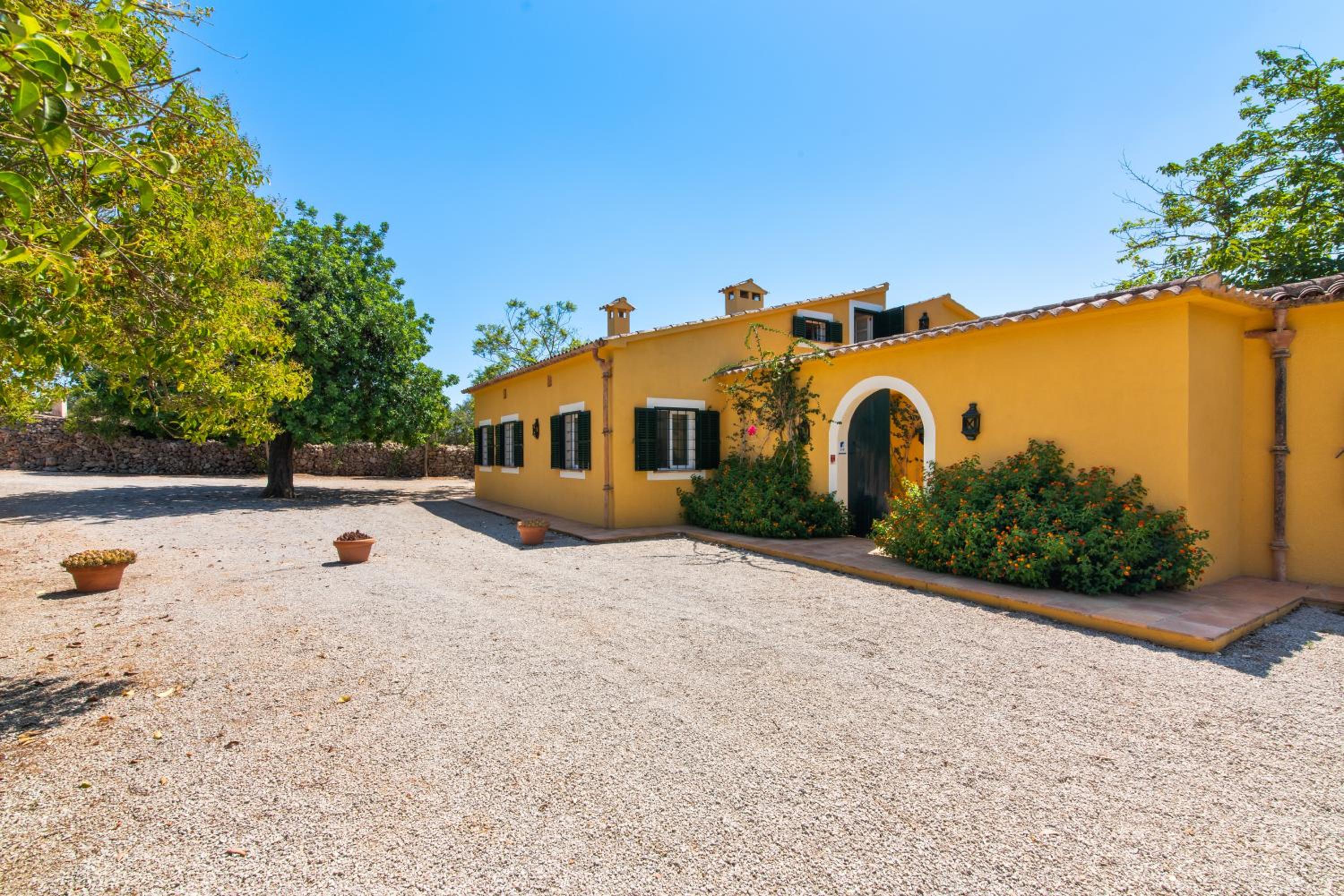 Finca Son Blat