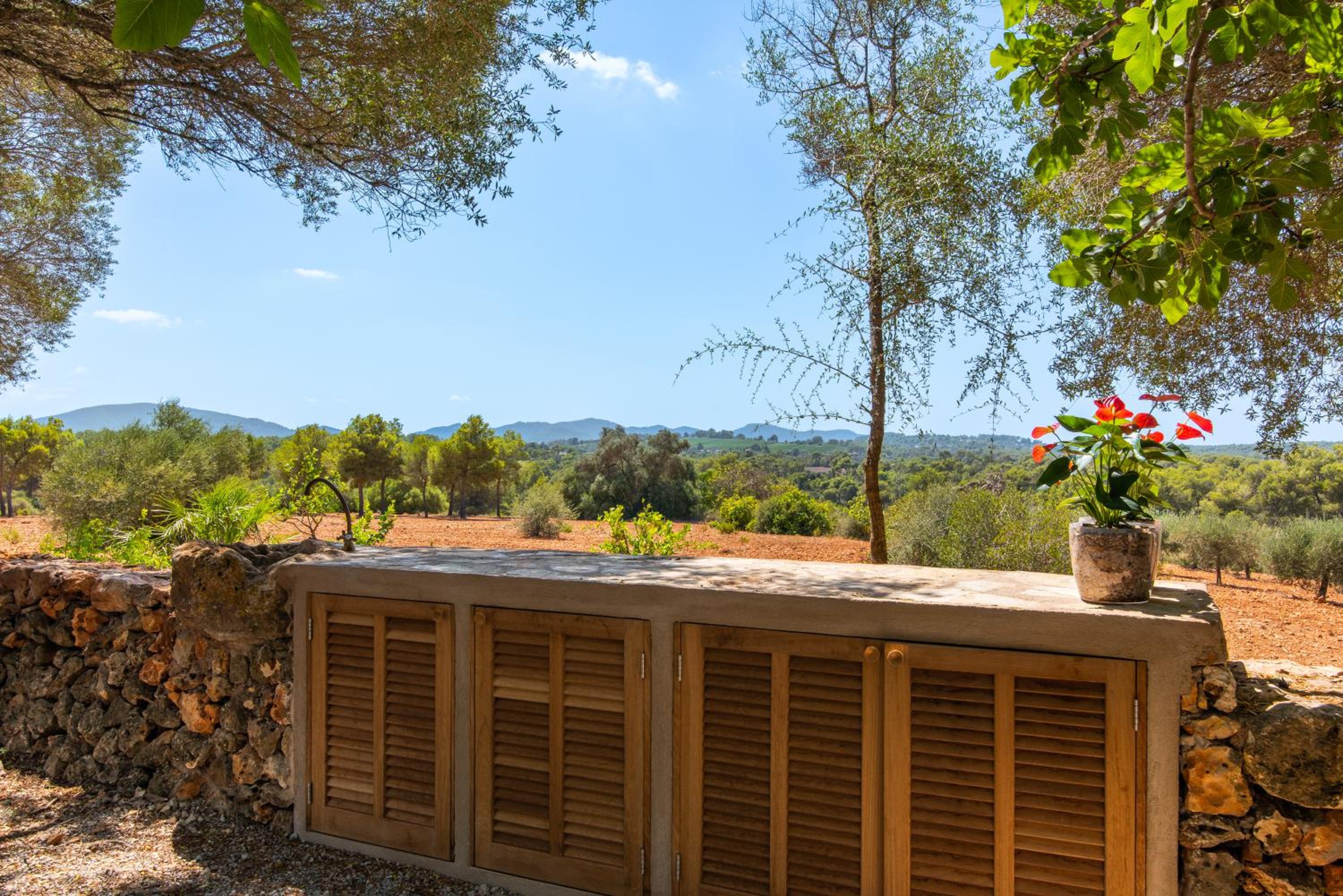 Finca Son Blat