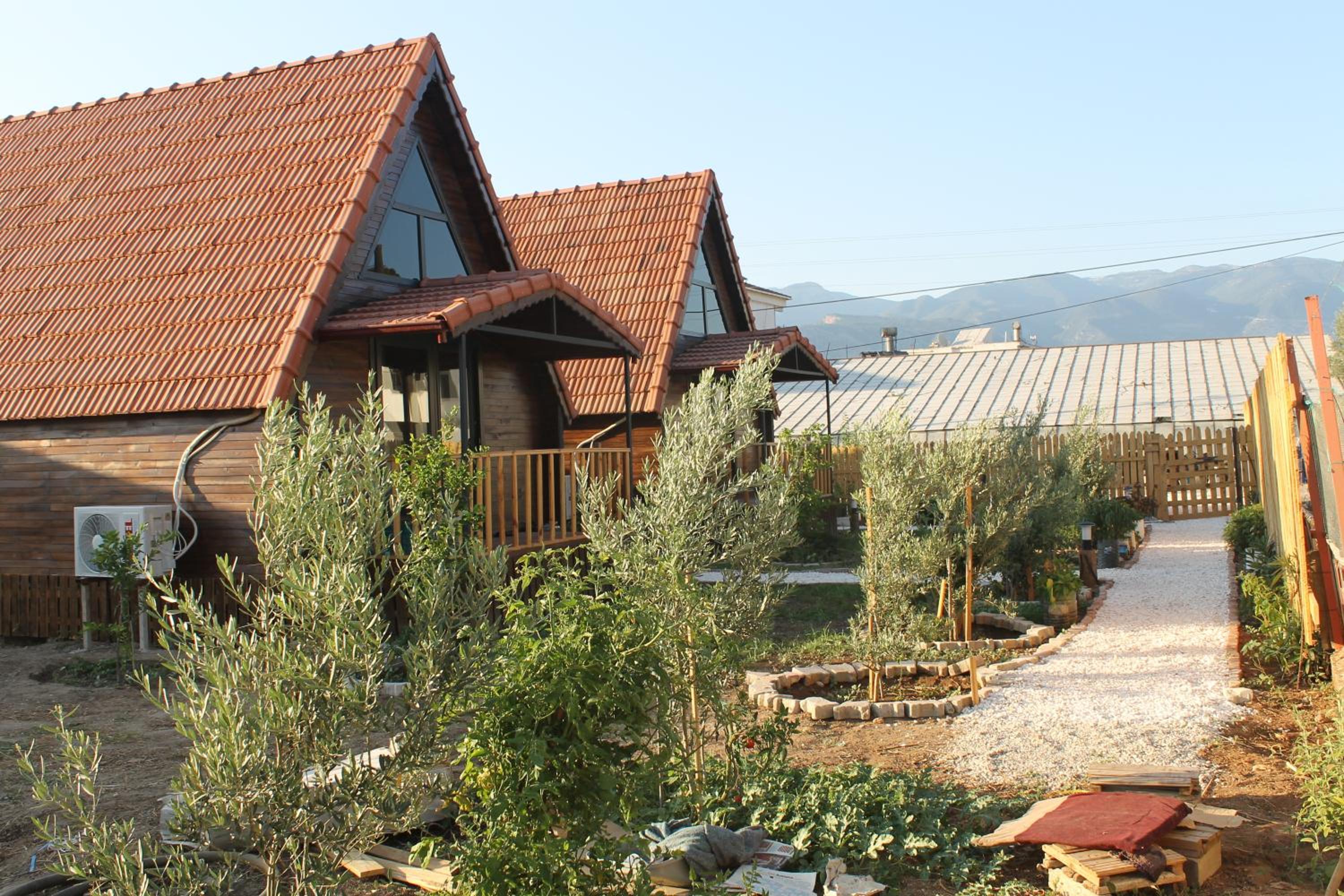 Photo 13