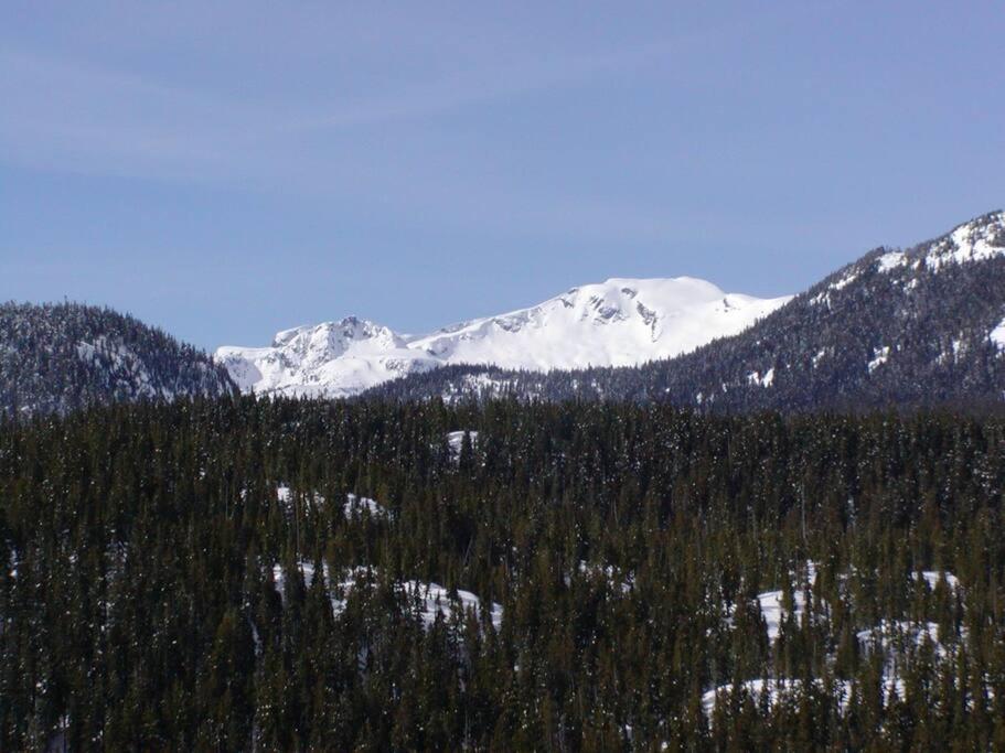 Basecamp Strathcona Park View Chalet