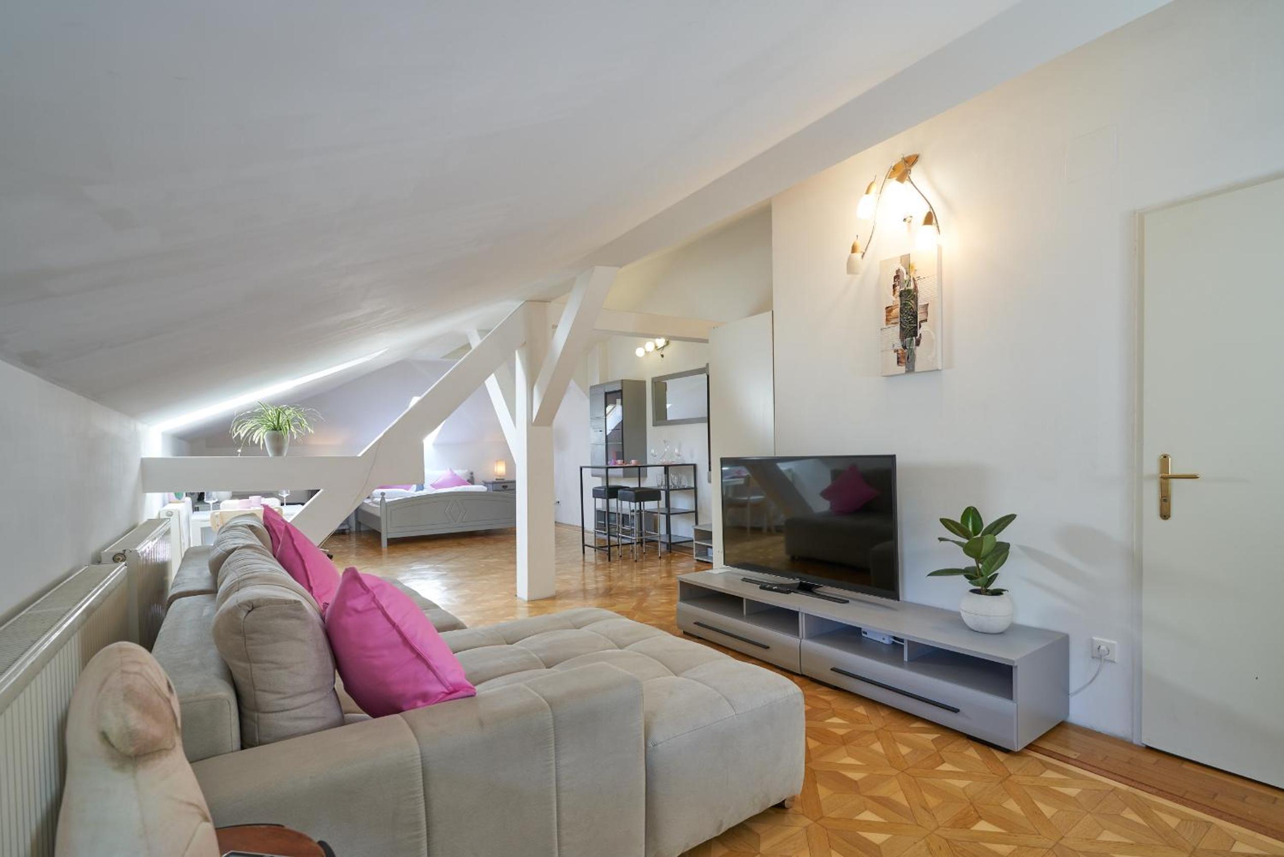 Big Apartment in Guesthouse