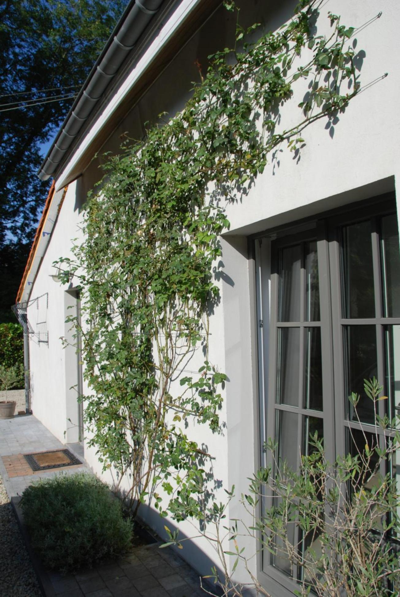 The Little House