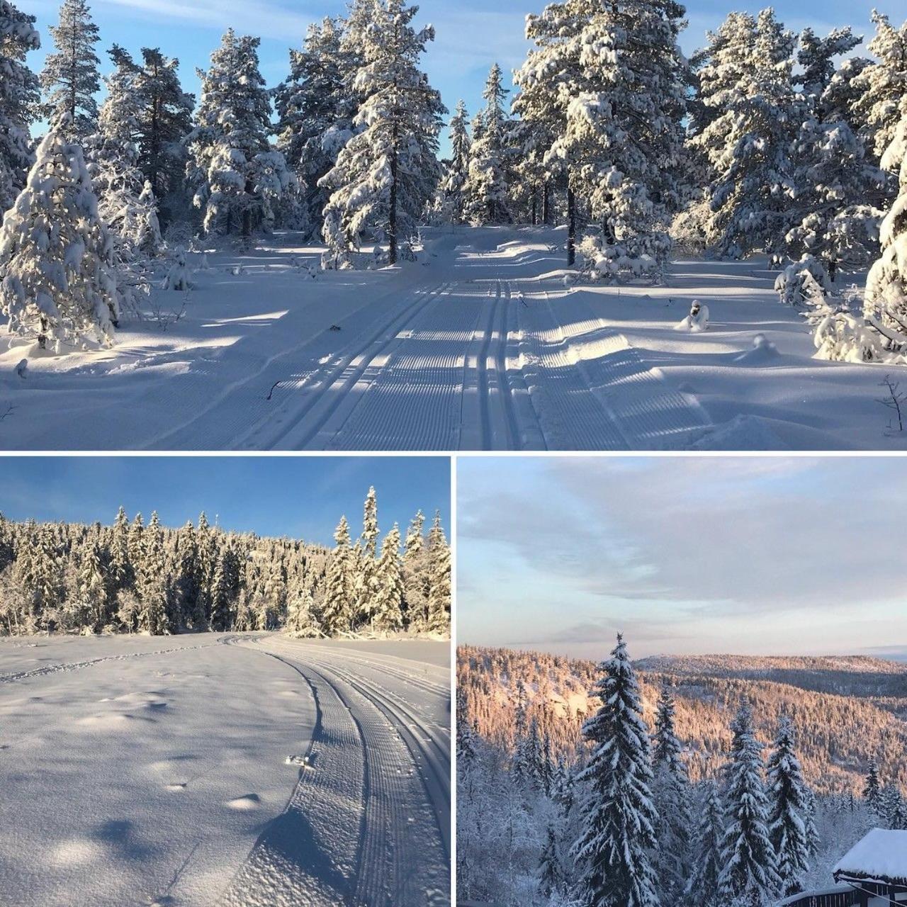 Middagslia - cabin at Skrim with amazing view view 3