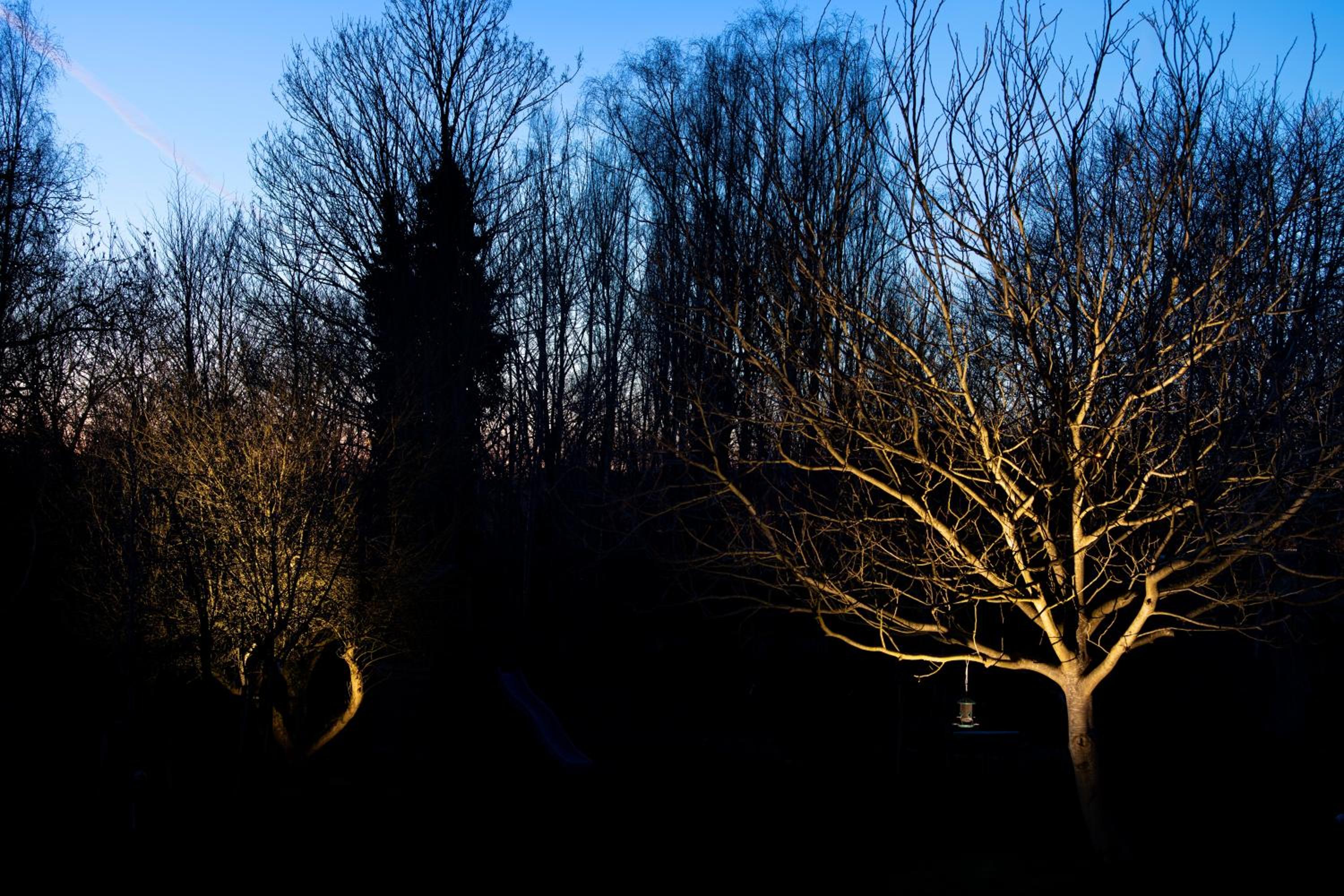 Nuit Blanche