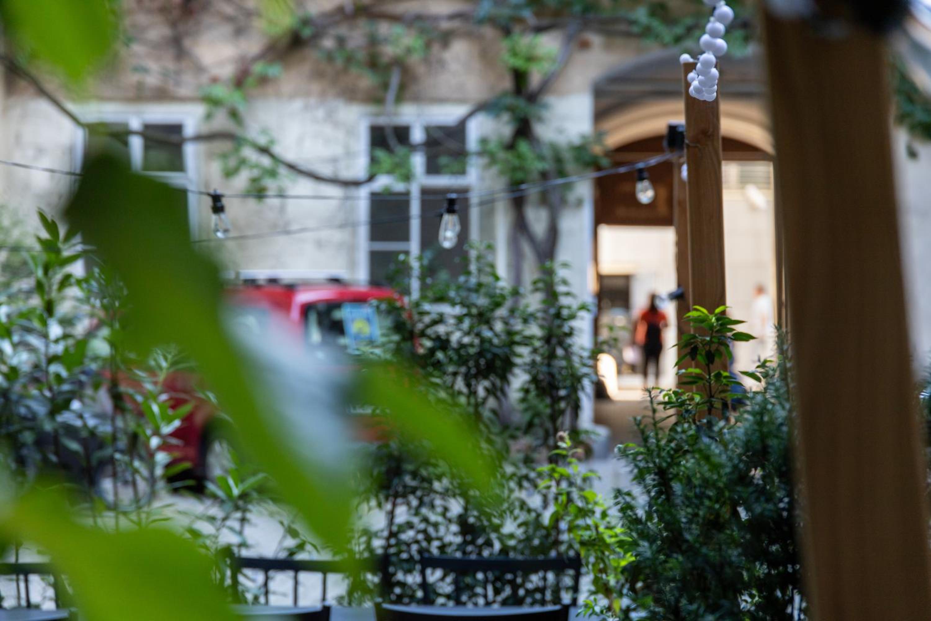 Family Deluxe a stone throw from the city centre and danube